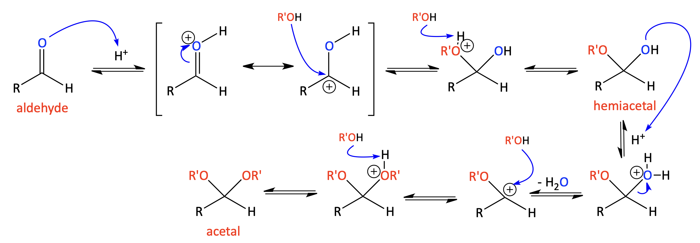 aldehyde to acetal mechanism going through hemiacetal