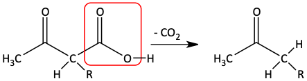 Decarboxylation in acetoacetic ester synthesis
