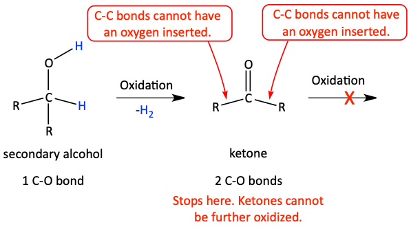 Oxidation pathway of a secondary alcohol to a ketone