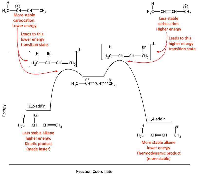 Kinetic vs. thermodynamic product
