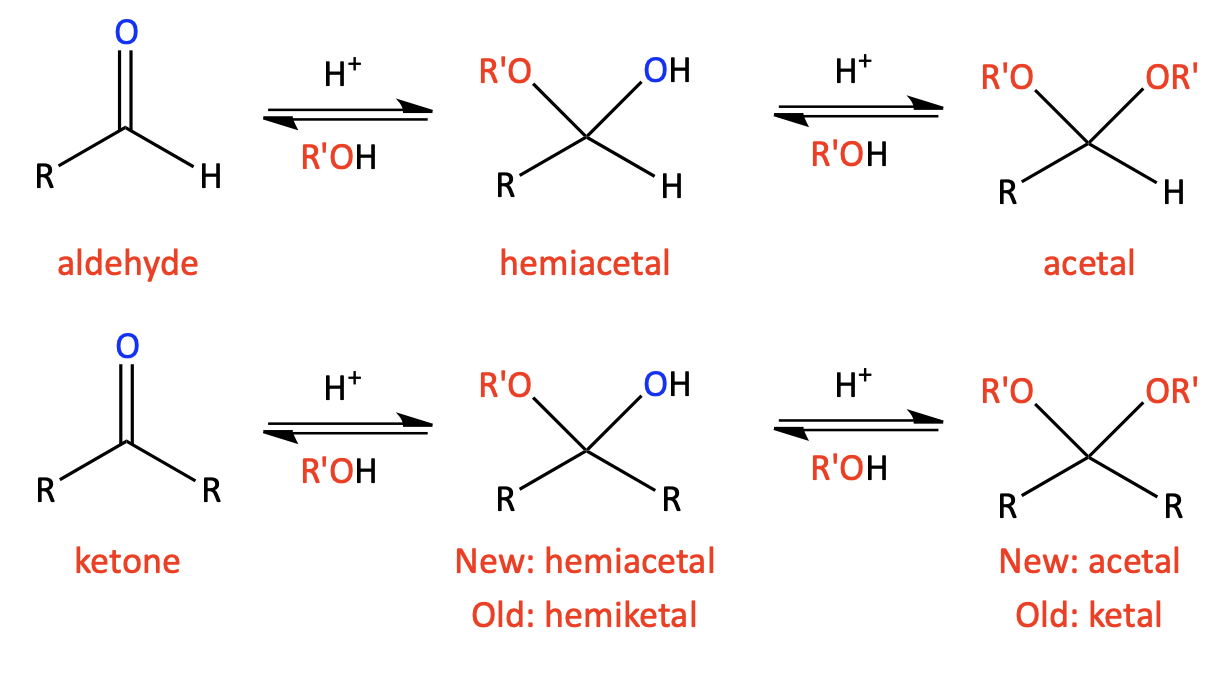 Aldehyde to hemiacetal to acetal and ketone to hemiketal to ketal