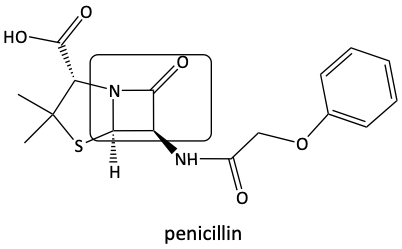 penicillin structure