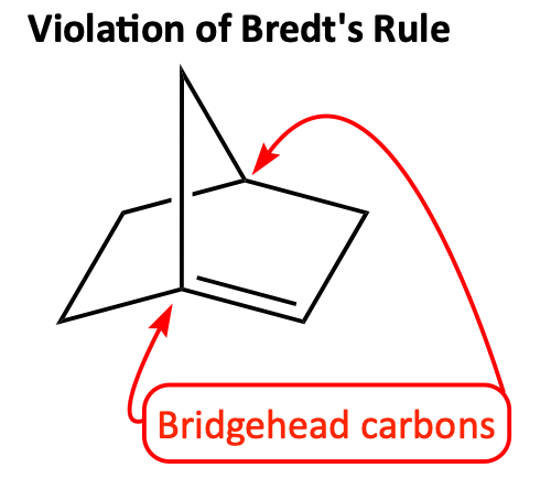 Bicyclo alkene and bridgehead carbons