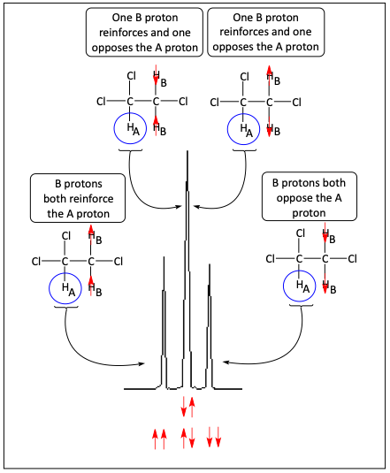 Why a triplet is formed from two neighboring protons