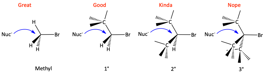 bckside.png
