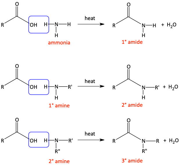 carboxylic acid and amine make amide