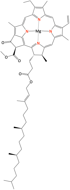 Chlorophyll