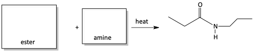amide problem