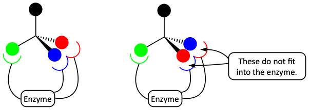18.png