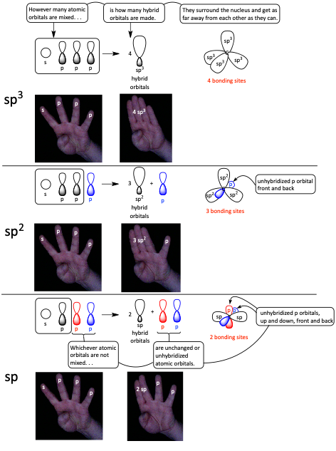 Chart of hybrid orbitals