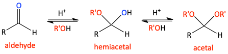 Aldehydes to hemiacetal to acetal
