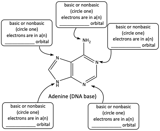 adenine