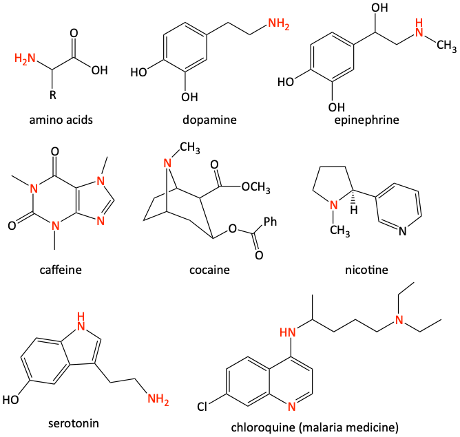 amino acid, dopamine, epinephrine, caffeine, cocaine, nicotine, serotonin, chloroquine, biologically important amines