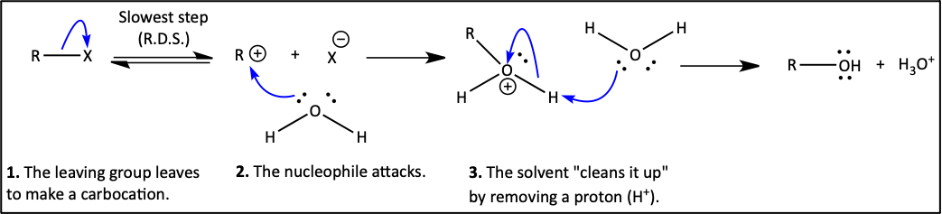 Generic SN1.png