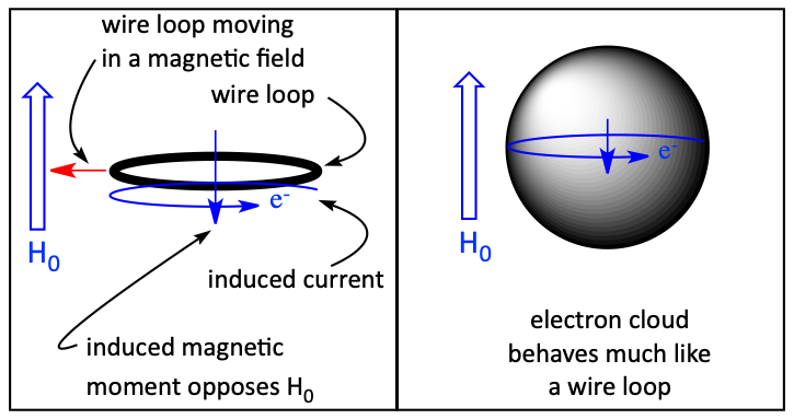 Induced magnetic field from electron cloud