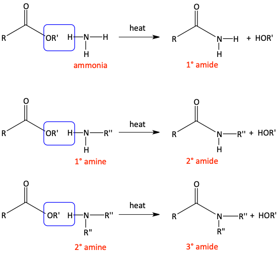 ester and amine make amide