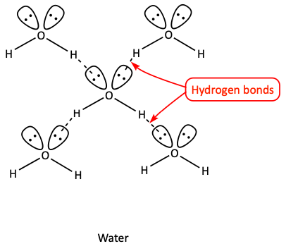 Water hydrogen bonding