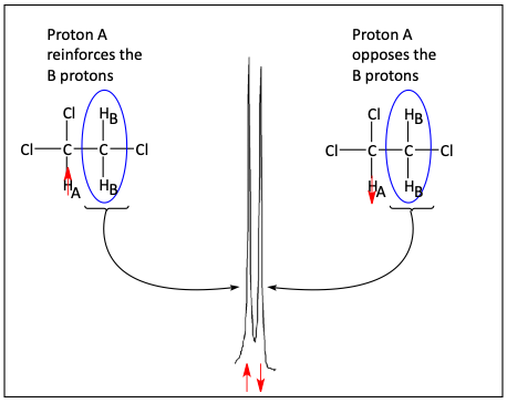 Why a doublet is formed from one neighboring proton