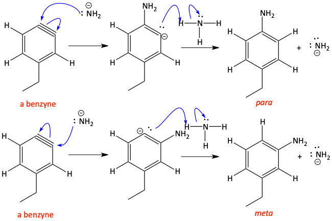 benzyne mechanism