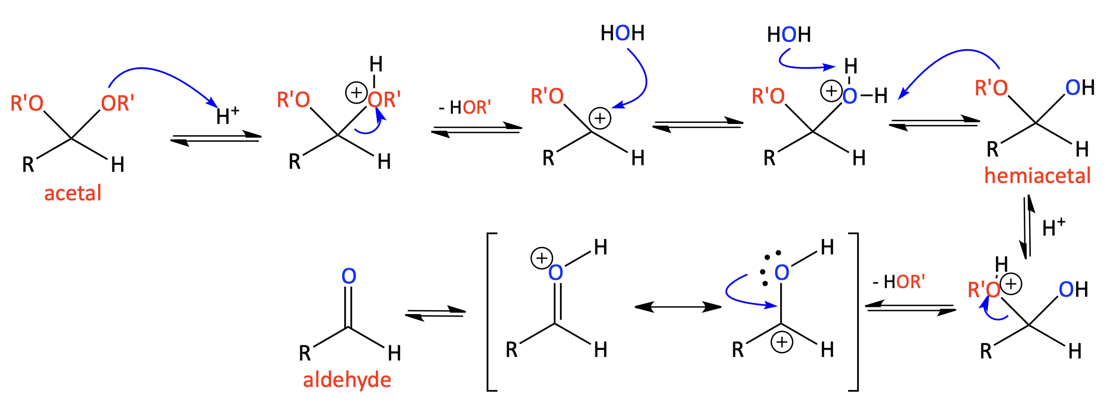 Hydrolysis of acetal to aldehyde or ketone