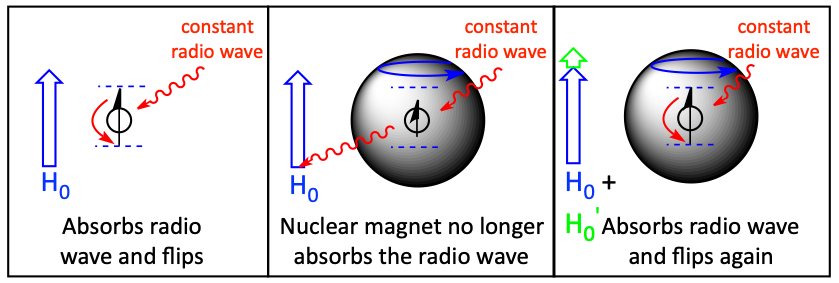 Effects of electron shielding on a nucleus