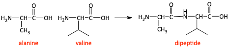 l.png