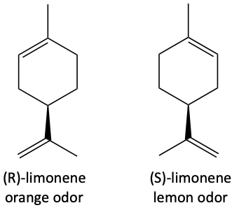19a.png
