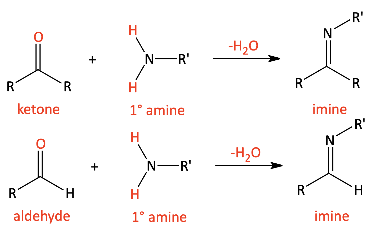 Imine formation from ketone or aldehyde with primary amine