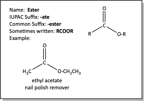Ester flash card