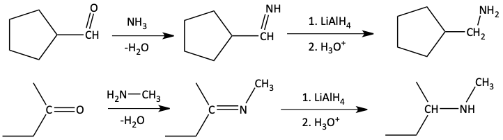 Formation then reduction of imines