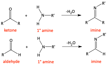 Ketones and aldehydes to imines