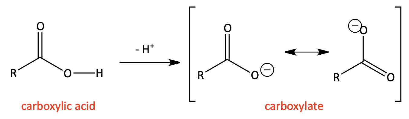 Carboxylic acid deprotonation to form carboxylate