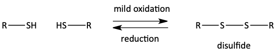Thiol to disulfide conversion