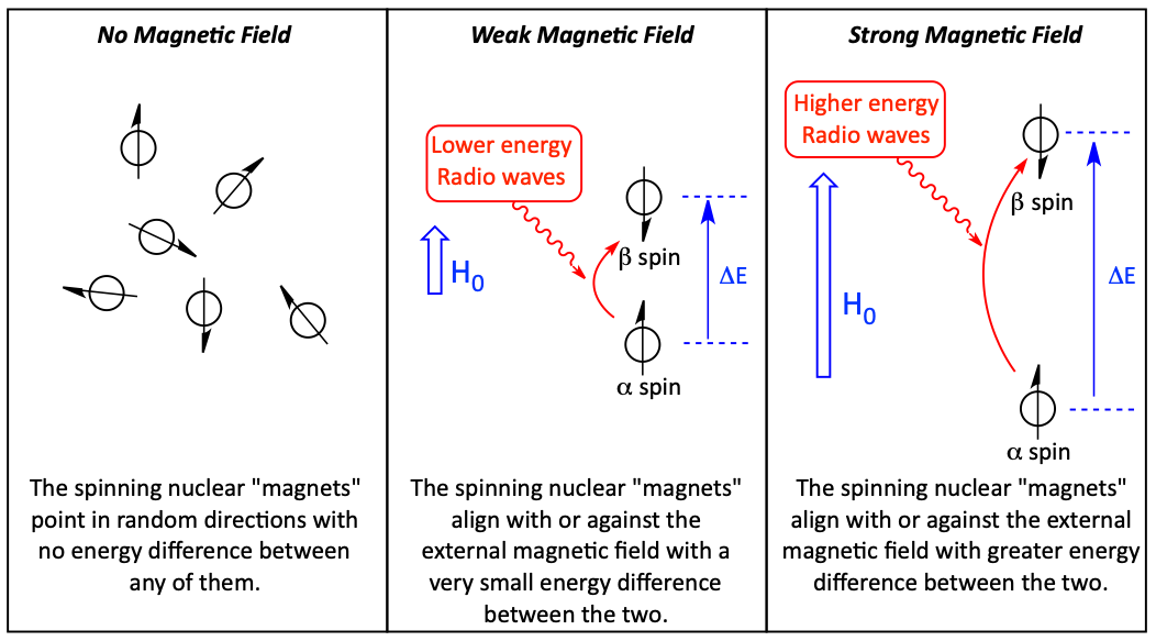 Nuclear spins separated by a magnetic field