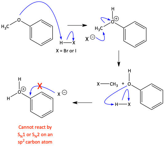 24.png