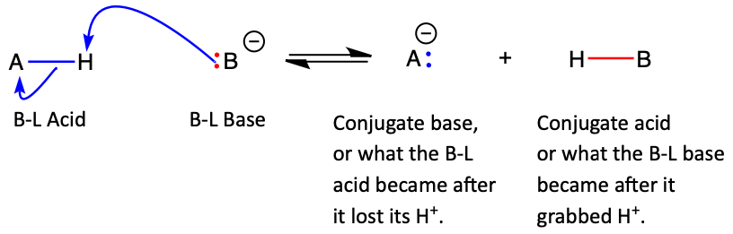 Acid base equilibrium reaction with conjugate acid and base shown