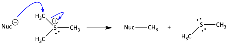 28.png