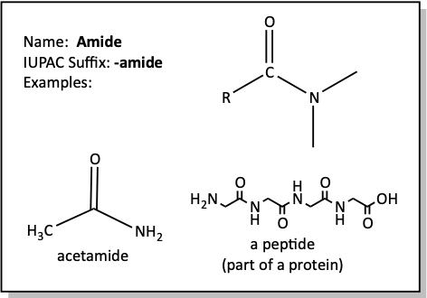 Amide flash card