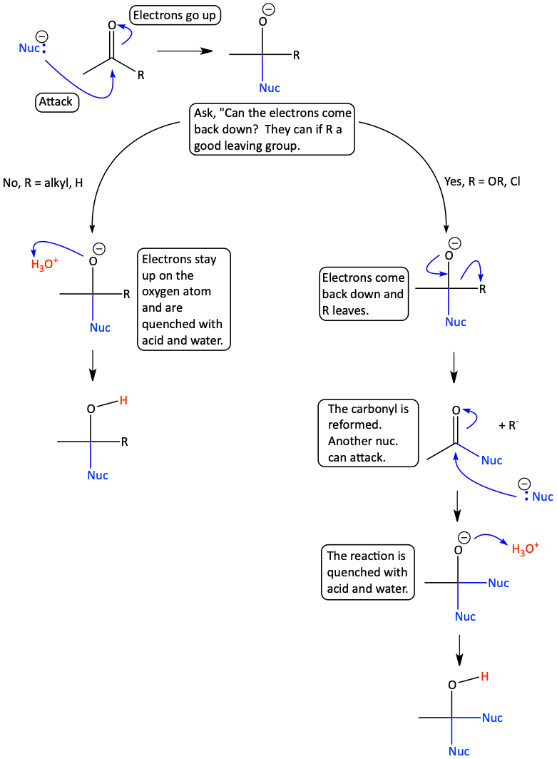 Nucleophilic attack on carbonyls overview