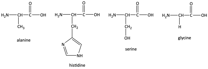 alanine, histidine, serine, glycine