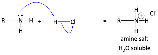 Amine reacting with acid