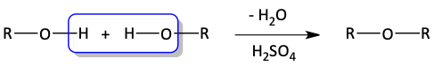 13.png