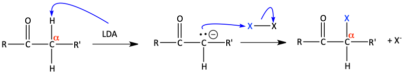 Formation of enolate then reaction with X2