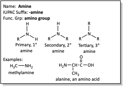 Amine flash card