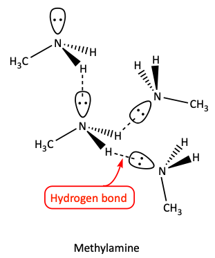 Methylamine hydrogen bonding