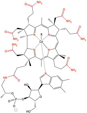 Vitamin B12