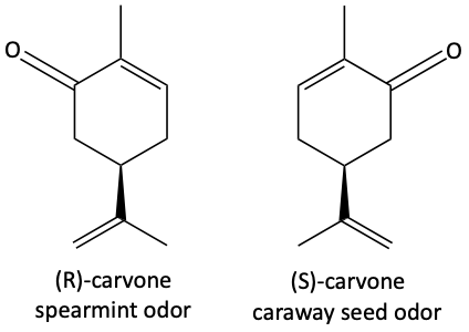 19b.png