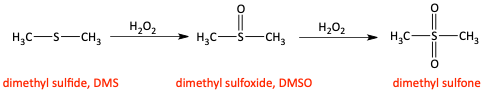 l.png
