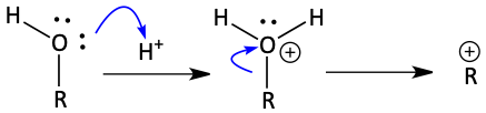 39.png